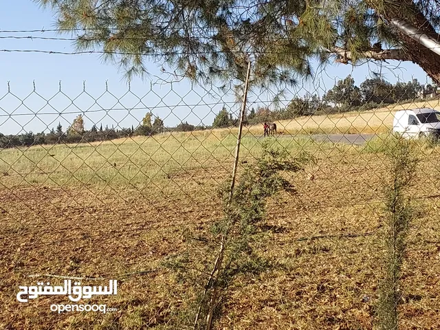 Farm Land for Sale in Amman 5th Circle