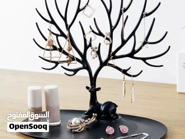 منظم اكسسوارات