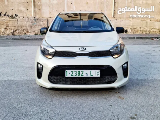 كيا بيكانتو 2019 عداد 31