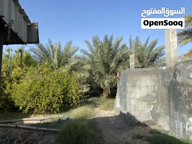 مزرعه للبيع فرص