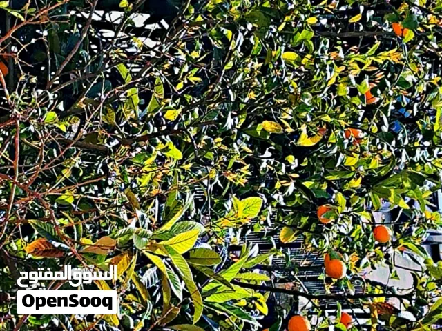 غرفة برايفت