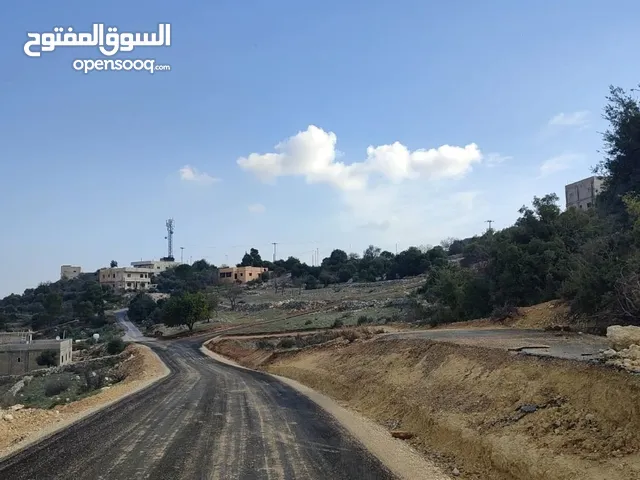 قطعة أرض تنظيم (سكن أخضر طابقين و روف) بمساحة 2 دونم وبأجمل إطلالة في السلط تصلح لبناء فيلا فاخرة