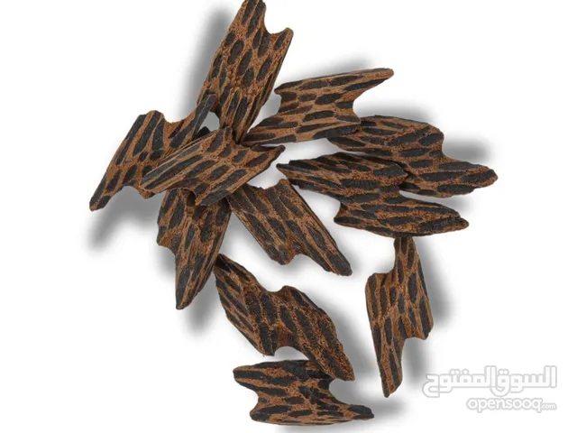 عود ذو رائحة معطرة