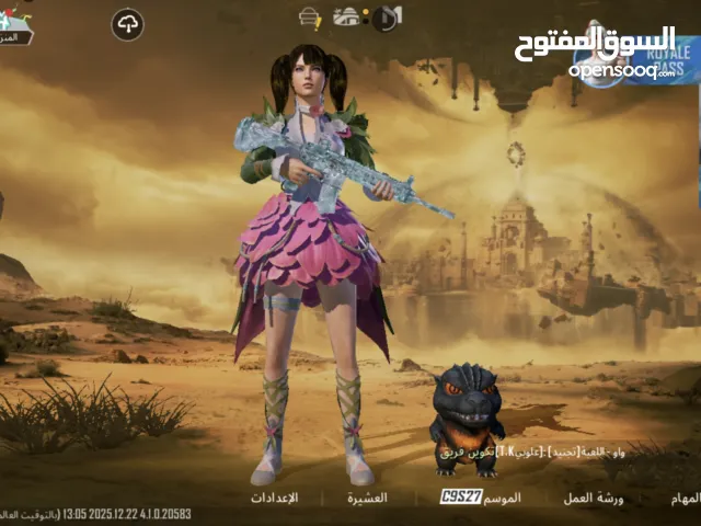 Pubg Accounts and Characters for Sale in Ankara