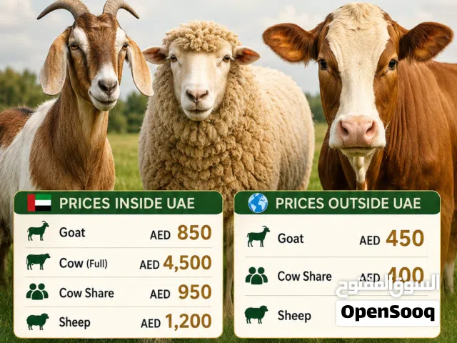 QURBANI 2026 BOOKINGS OPEN   Sharia-compliant Qurbani with trusted sacrifice, delivery & distri