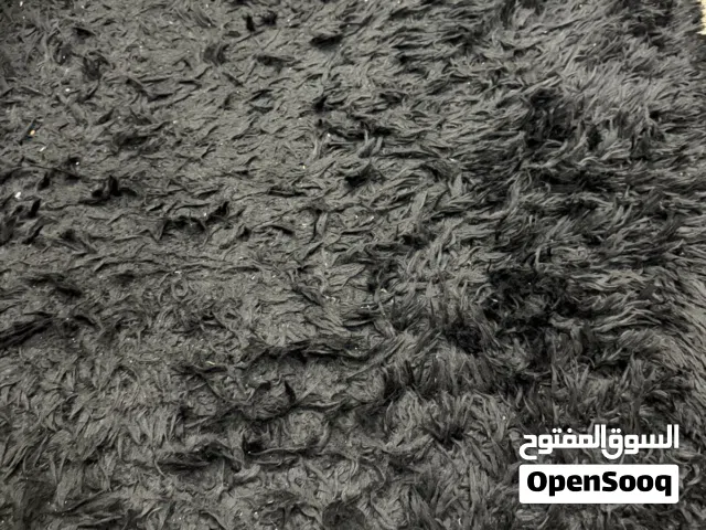 كاربد اسود خيوط طويله ( شعروره خشنه ) 6 م في 2.8 م استخدام موسم واحد بحالة ممتازة جدا