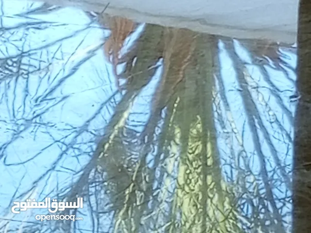 جلابيه رخام وزليز وجميع انواع الارضيات