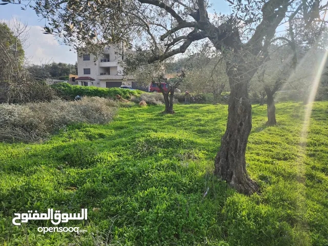 Residential Land for Sale in Ramallah and Al-Bireh Dayr Ibzi'