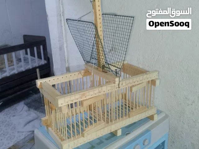 مصيده بلابل خانتين الوصف مهم
