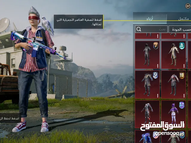 Pubg Accounts and Characters for Sale in Basra