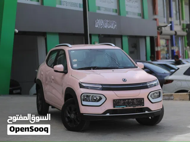 2023, دونج فينج, EX1