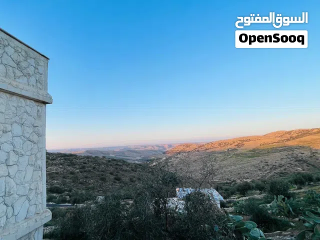 مزرعة مميزه في بيرين بالقرب من شفا بدران