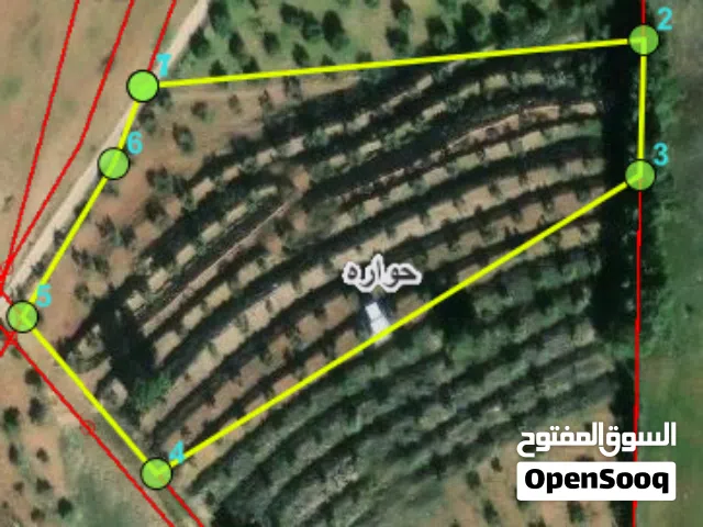 Residential Land for Sale in Irbid Huwwarah