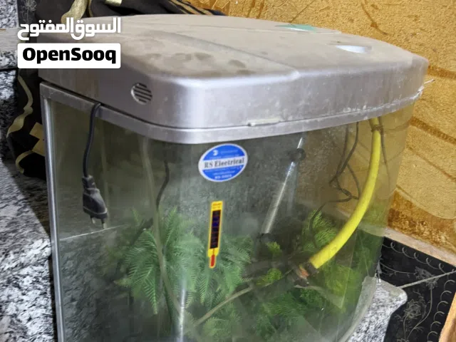 حوض سمك جديد