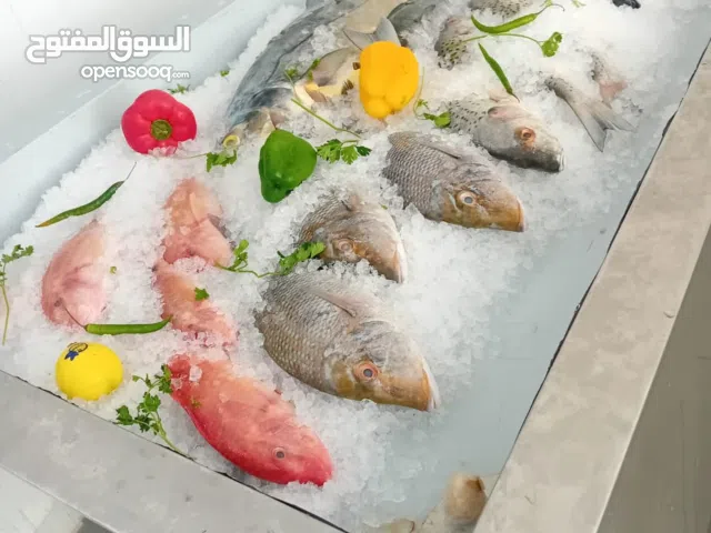 طاولة عرض أسماك  بجودة عالية أستخدام بسيط