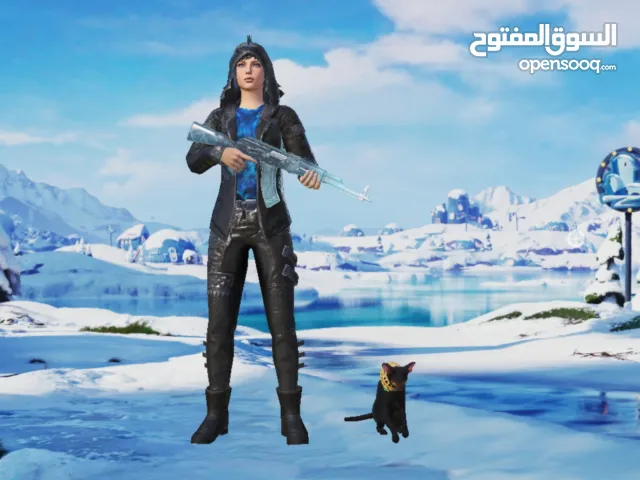 Pubg Accounts and Characters for Sale in South Governorate