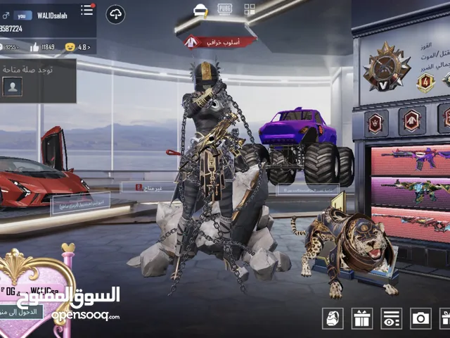 حساب ببجي نوادر PUBG Mobile