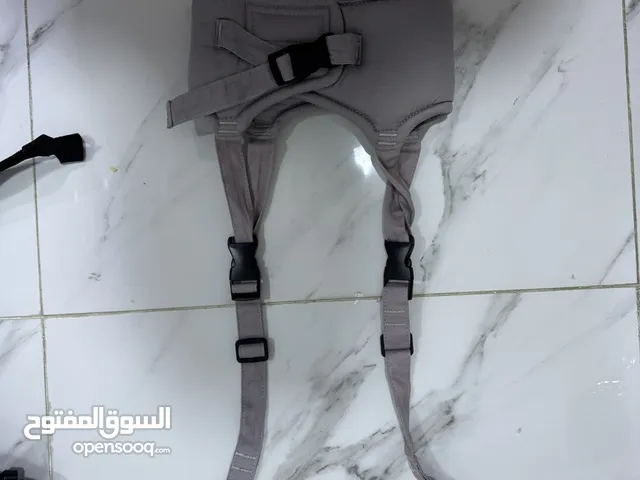 Walking wings 2016-2017