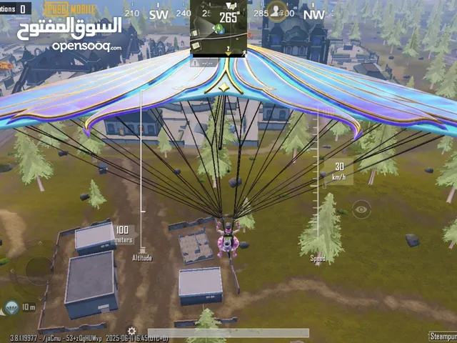 Pubg Accounts and Characters for Sale in Tabuk