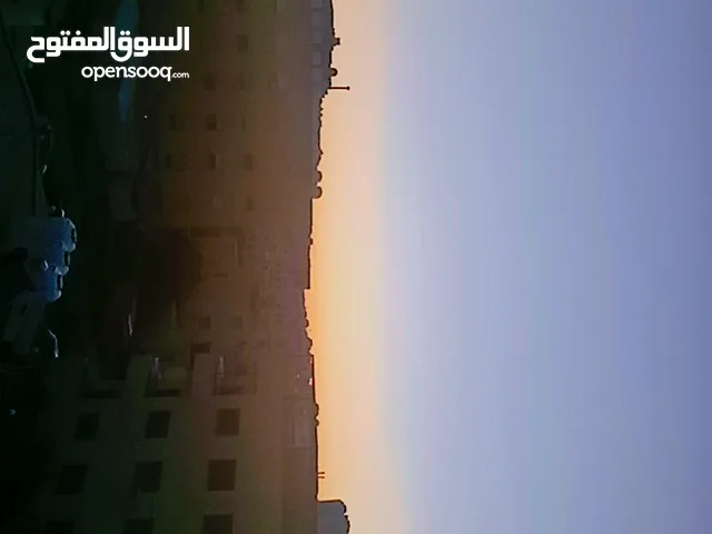شروت باله مشكل