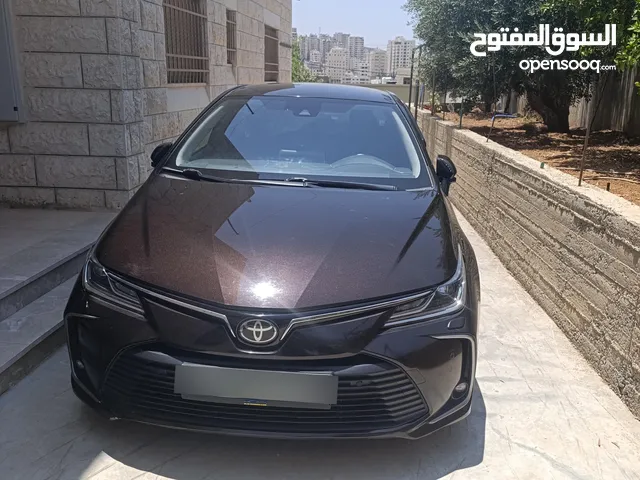 تويوتا كورولا موديل 2019