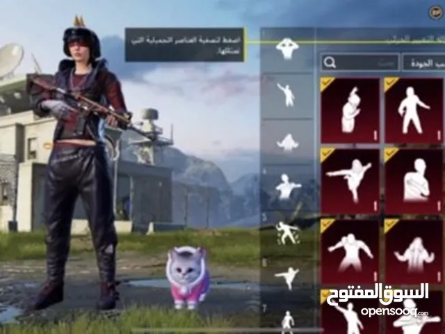 Pubg Accounts and Characters for Sale in Al Hofuf