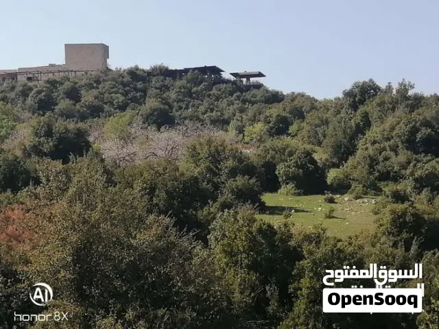 أرض للبيع من المالك مباشرة تقع بجانب المحمية الملكية