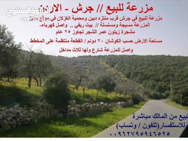 مزرعة للبيع-جرش-الجزازة-كرم عثمان بجانب دبين وقرب محمية الغزلان