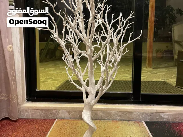 شجرة زينه مناسبه للمنازل