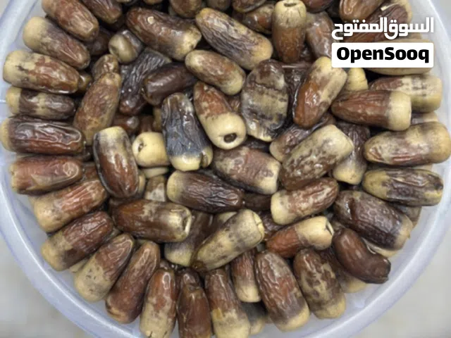 تمر نغال إنتاج جديد 2026 السطل 10 ريال