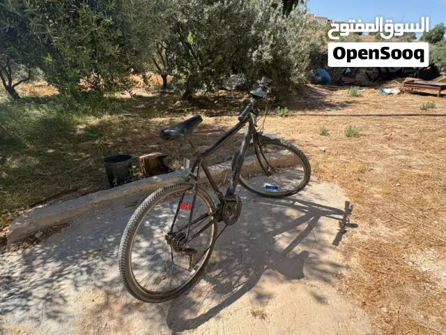 بسكليت اشي مرتب
