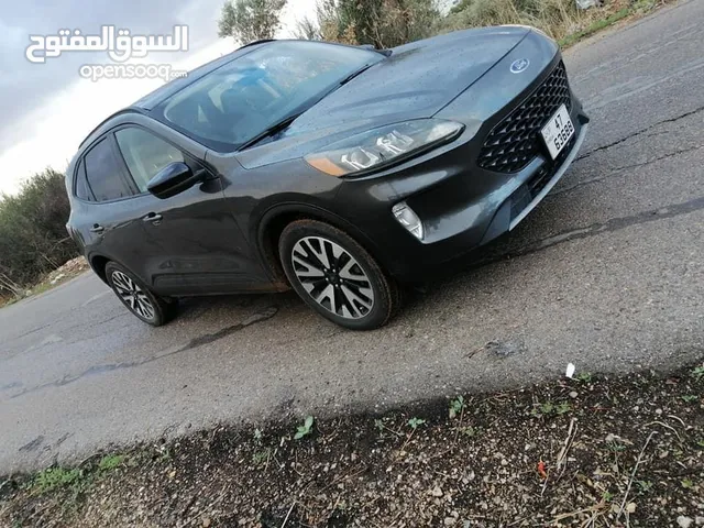 Used Ford Escape in Irbid