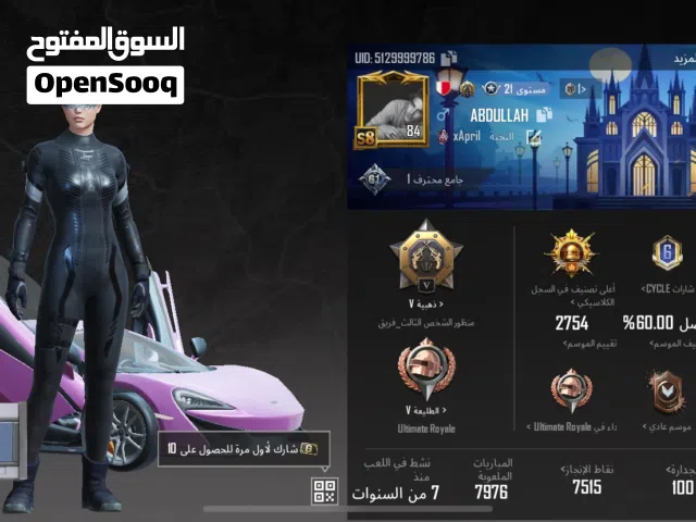 Pubg Accounts and Characters for Sale in Southern Governorate