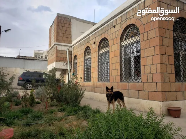 10 m2 More than 6 bedrooms Villa for Rent in Sana'a Haddah