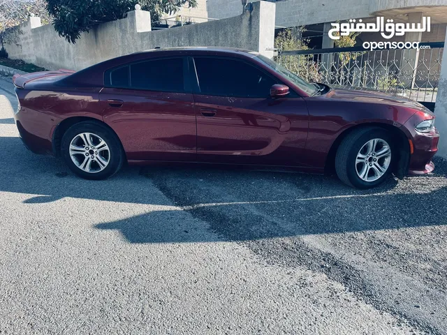 Dodge Charger SXT Plus in Amman
