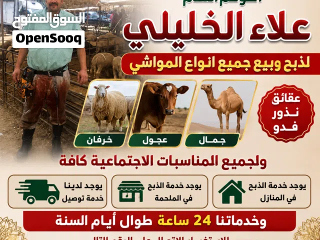 لحام لذبح وبيع عقائق نذور فدو ولجميع المناسبات الاجتماعية كافة