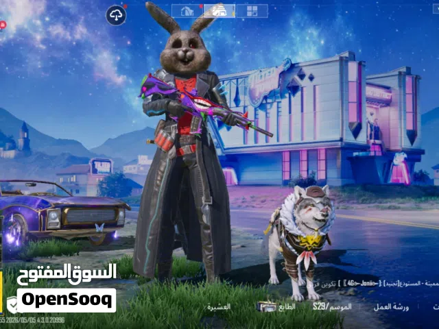 Pubg Accounts and Characters for Sale in Ismailia