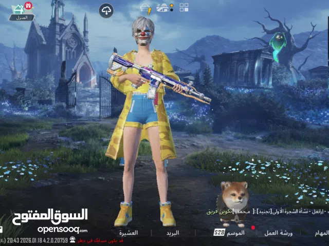 Pubg Accounts and Characters for Sale in Dakahlia