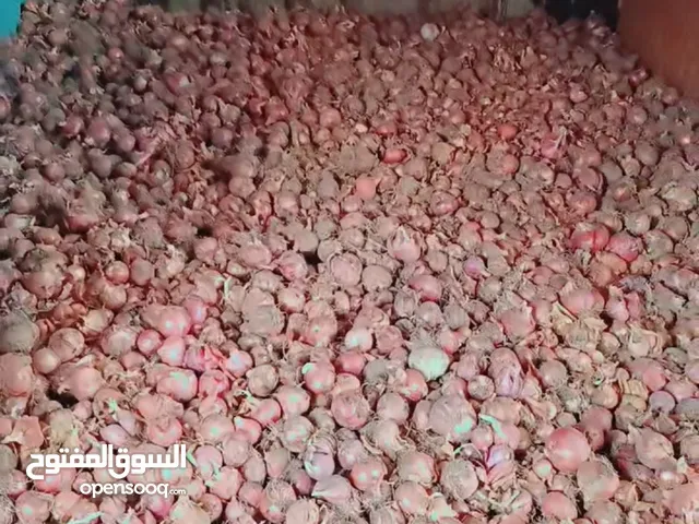 بصل محلي للبيع