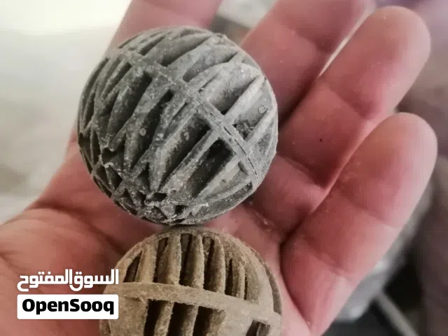 كرات بكتيريا يافعه لأحواض الأسماك البحريه والنهريه