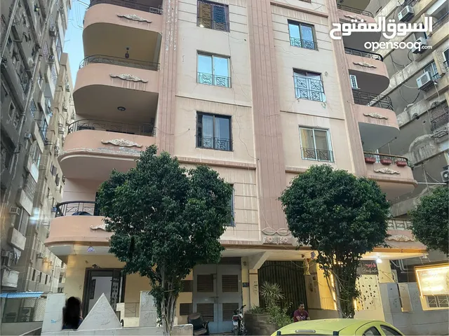 130 m2 3 Bedrooms Apartments for Rent in Cairo Nasr City
