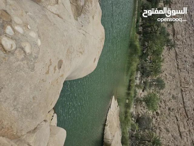 مطلوب بورسلين داخل قياس 50 متر