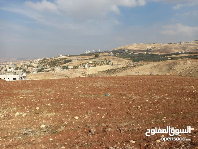 ارض للبيع على شارعين في منطقة صافوط/ REF:013