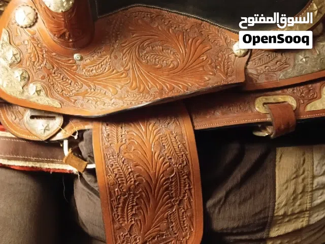 سيلة أمريكية