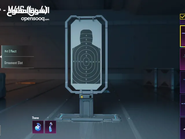 Pubg Accounts and Characters for Sale in Amman