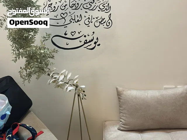 ستاند مولود باسم يوسف