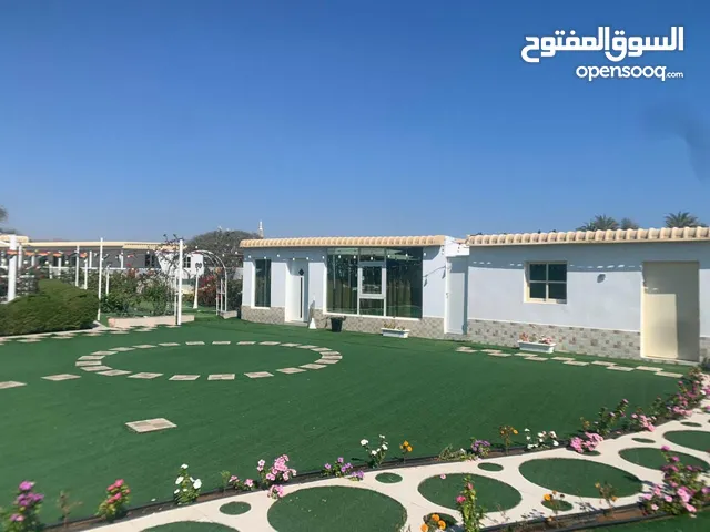مزرعه للإيجار