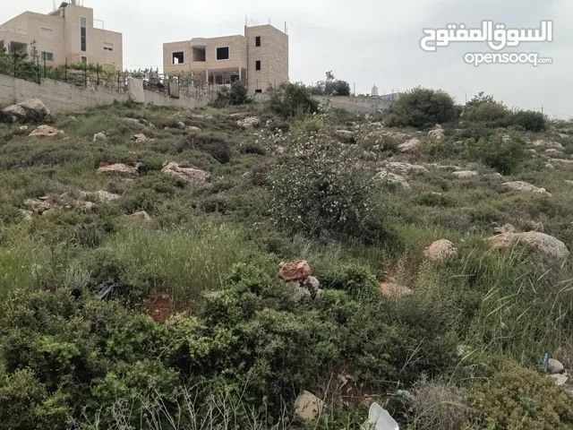 ارض للبيع في تفوح
