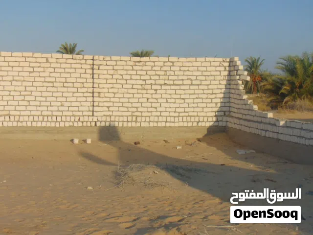 قطعة أرض مباني بموقع متميز في سيوة