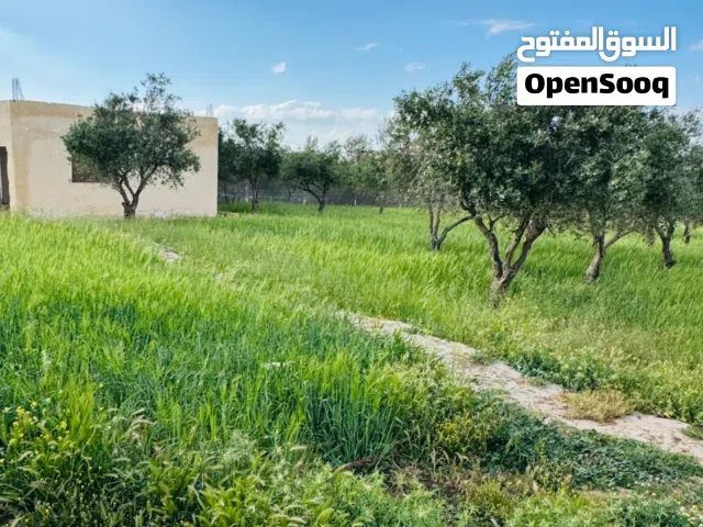 أرض للبيع ناعور العال والروضة